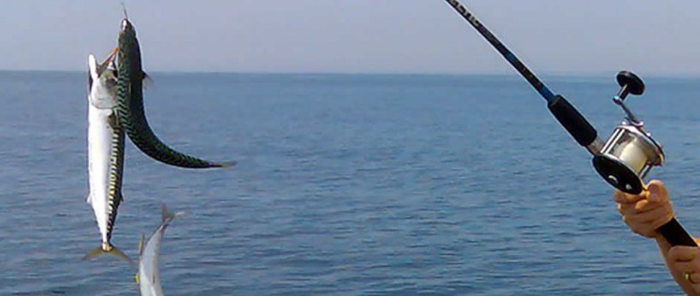 Fishing