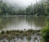 Artvin – Karagöl National Park