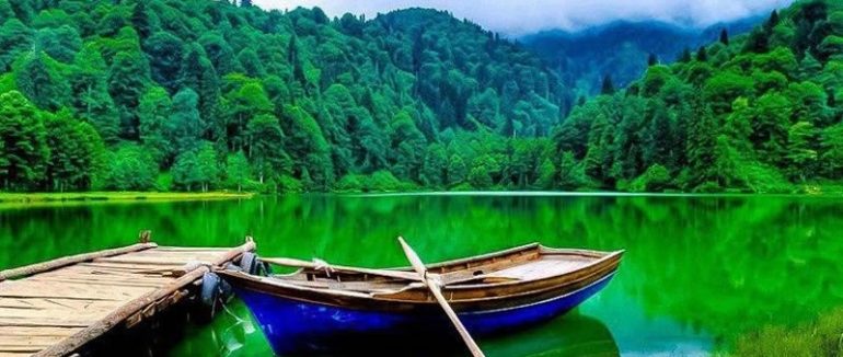 Artvin
