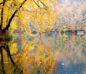 Bolu – 7 Lakes (Yedigöller) National Park