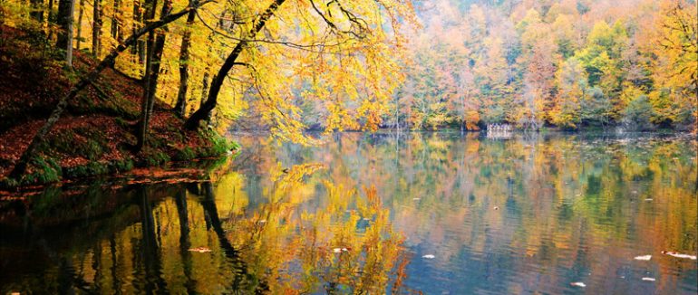 Bolu – 7 Lakes (Yedigöller) National Park