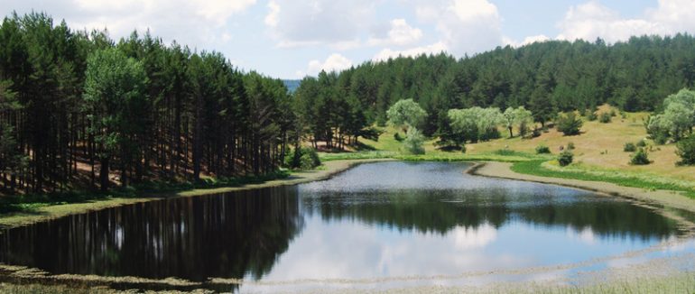 Ankara – Soğuksu National Park