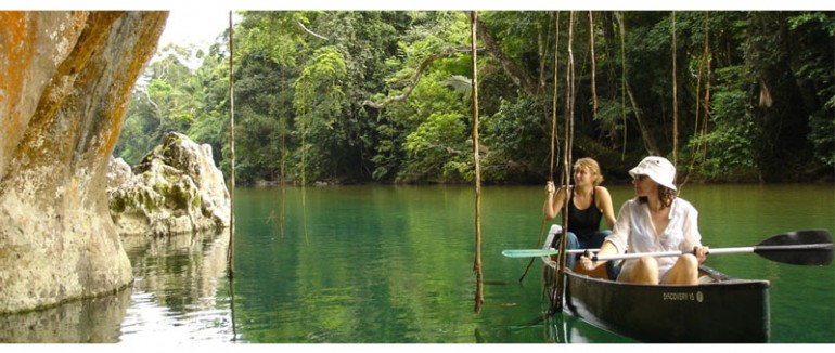 Ecotourism