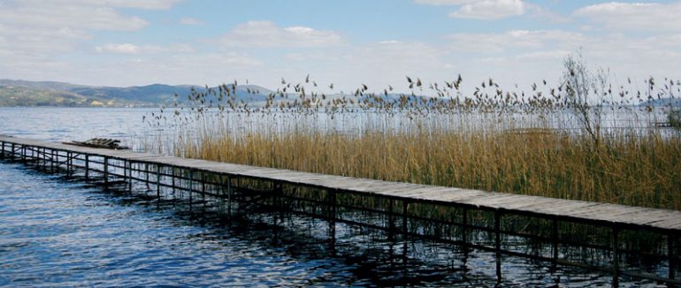 Sapanca