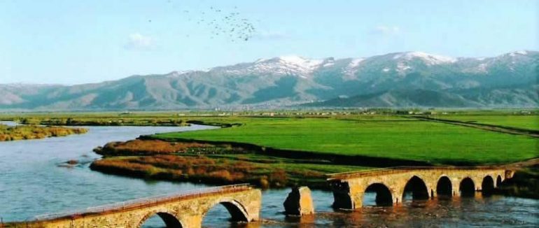 Muş