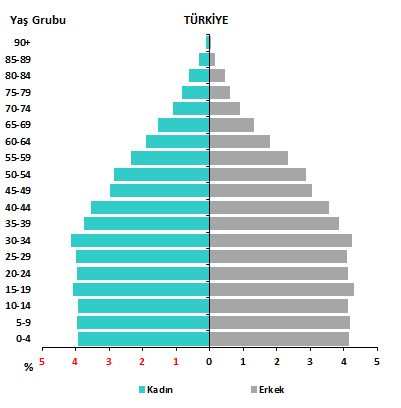 2-population-age-group-pyramid-TR