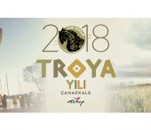 Troy Series from Netflix
