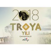 Troy Series from Netflix