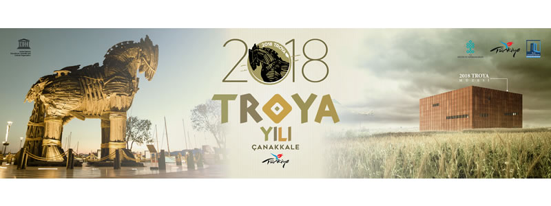 Troy Series from Netflix